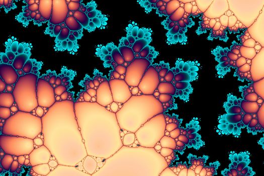 Digital visualization of a fractal