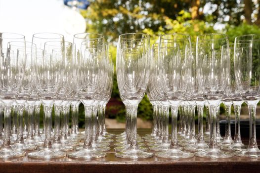 Detail of Champagne Glasses on a Plate