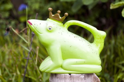 Detail of a Frog King Toy