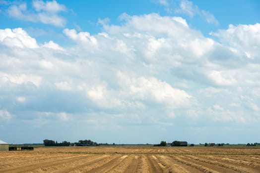 farm field with buildings golden wheat and blue sky