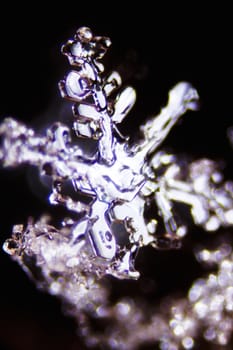 Micro Photo of Snow Crystals