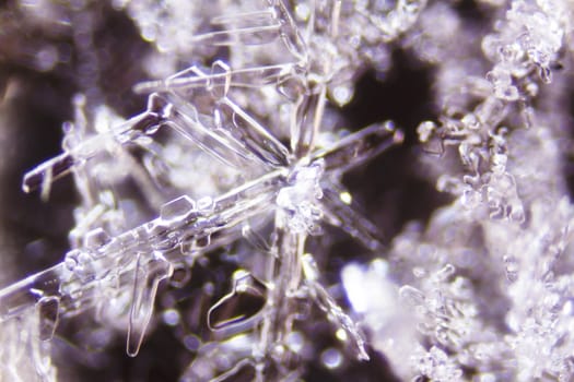 Micro Photo of Snow Crystals
