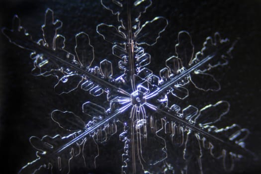 Micro Photo of Snow Crystals