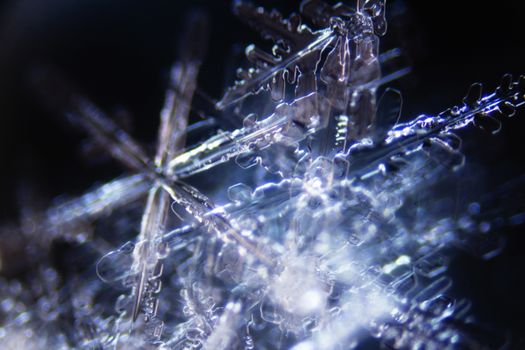 Micro Photo of Snow Crystals