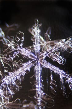Micro Photo of Snow Crystals