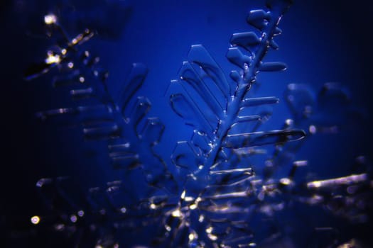 Micro Photo of Snow Crystals