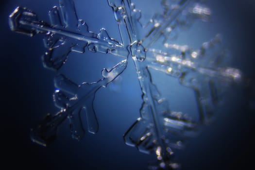 Micro Photo of Snow Crystals