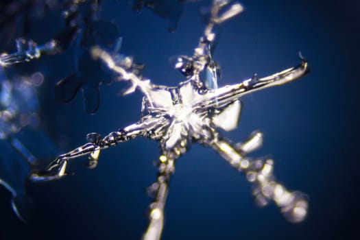 Micro Photo of Snow Crystals