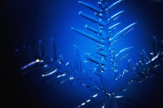 Micro Photo of Snow Crystals