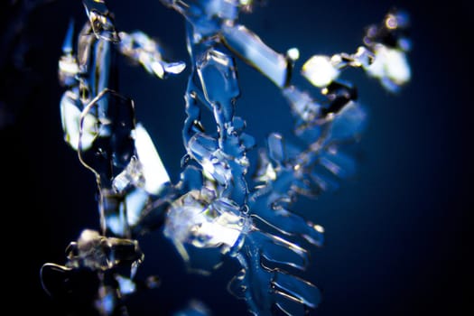 Micro Photo of Snow Crystals