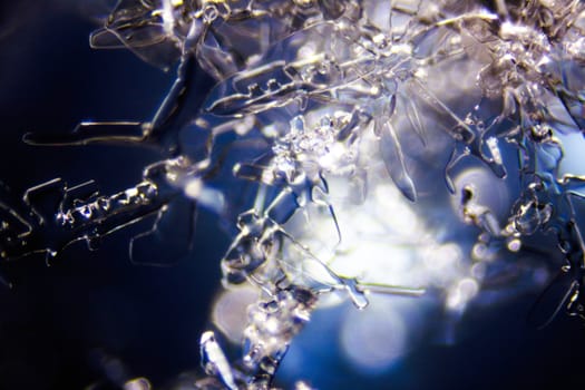 Micro Photo of Snow Crystals