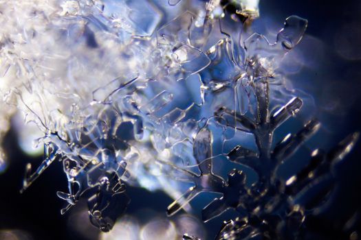 Micro Photo of Snow Crystals