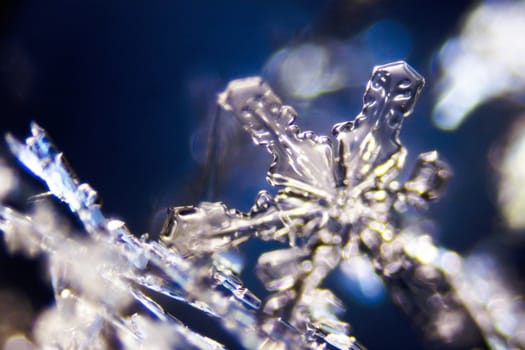 Micro Photo of Snow Crystals