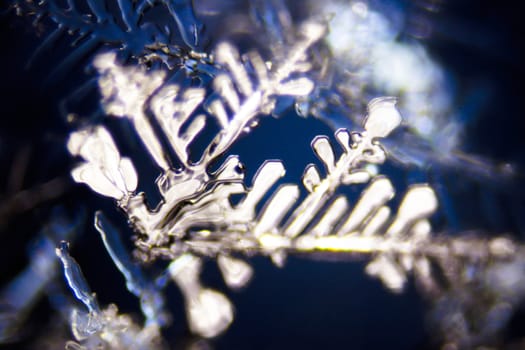 Micro Photo of Snow Crystals