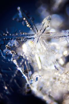 Micro Photo of Snow Crystals