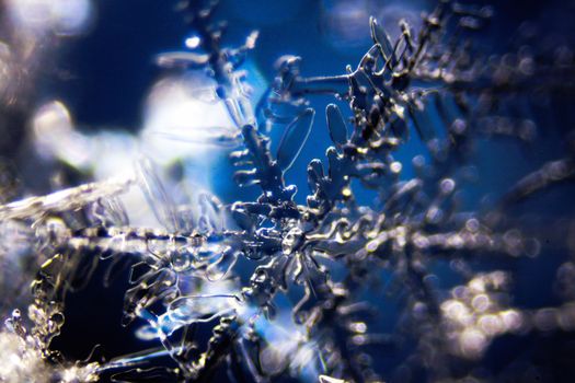 Micro Photo of Snow Crystals