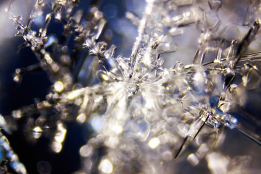 Micro Photo of Snow Crystals