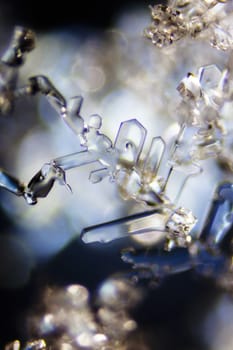 Micro Photo of Snow Crystals