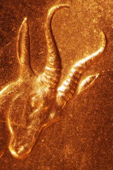Micro Photo of a Gold Coin