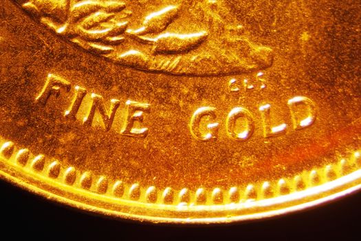 Micro Photo of a Gold Coin