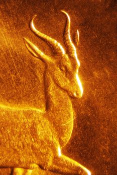 Micro Photo of a Gold Coin