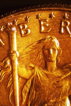 Micro Photo of a Gold Coin