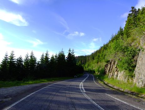 Transfagarasan Road with pine trees and blue sky behind