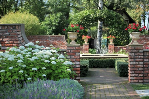spray fountain in the rose garden soft focus