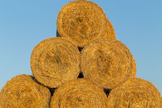 Piled hay bales on a field against blue sky at sunset time