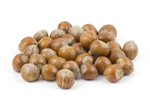 hazelnuts on white background