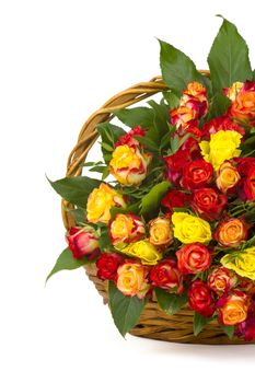 A bouquet of multicolored roses in a basket