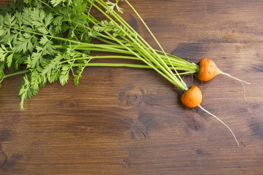 Round romeo carrots just harvested on a wooden table.