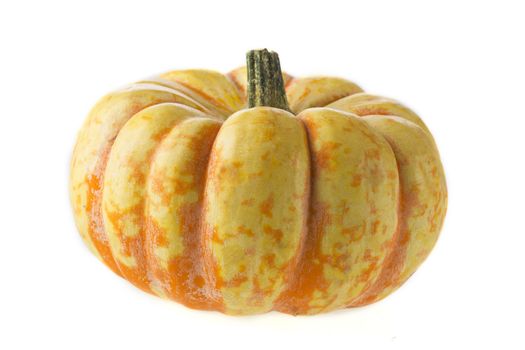 Sweet lightning squash on white background.