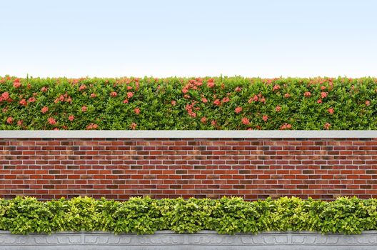 shrubs and brick fence on blue sky background