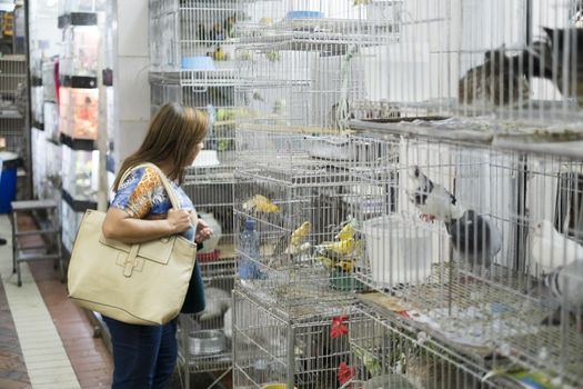 BELO HORIZONTE, BRAZIL - JULY  28: People looking at caged birds in market. Parakeets, a popular pet in Brazil, are kept in stressful conditions until they are sold. July 28, 2014 in Belo Horizonte.