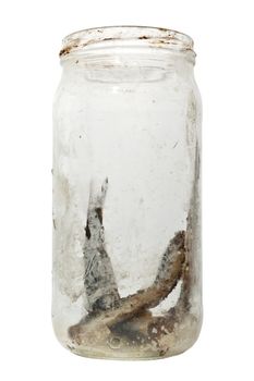 Salty Anchovies in a glass jar