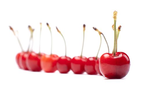 delicious cherries on white background