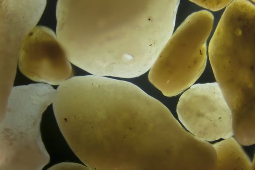 Micro photography of sand grains in polarized light