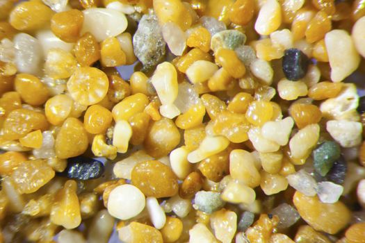 Micro photography of sand grains