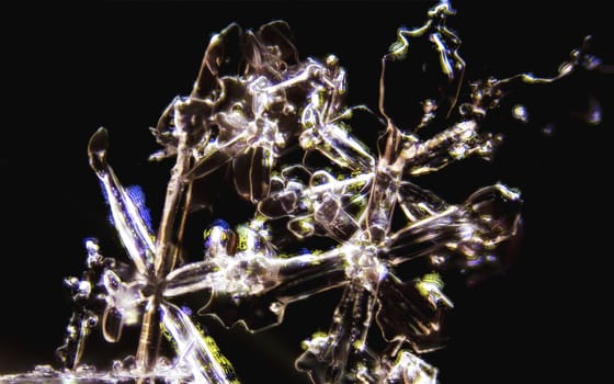 Micro Photo of Snow Crystals