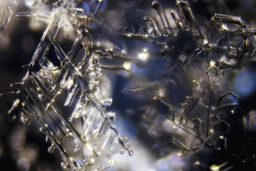 Micro Photo of Snow Crystals