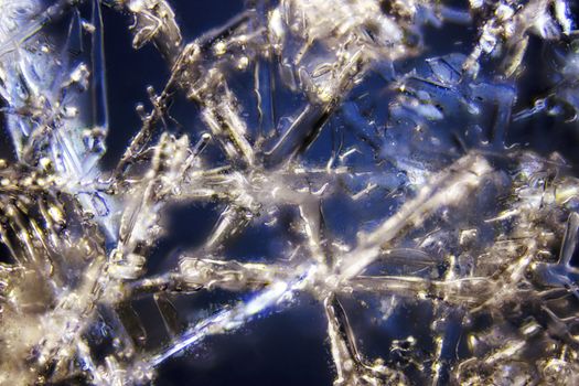 Micro Photo of Snow Crystals