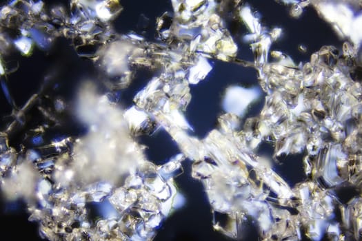 Micro Photo of Snow Crystals
