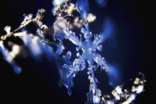 Micro Photo of Snow Crystals