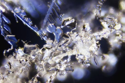 Micro Photo of Snow Crystals