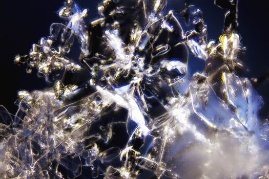 Micro Photo of Snow Crystals