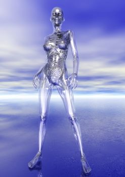 Digital Visualization of Human Anatomy