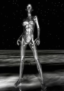 Digital Visualization of Human Anatomy