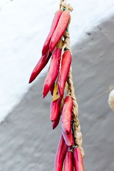 Hanged peppers in the city of alberobello, apulia, italy