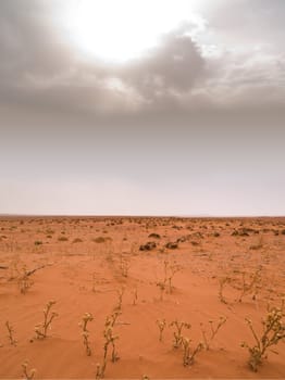Sahara Desert under a dramatic sky